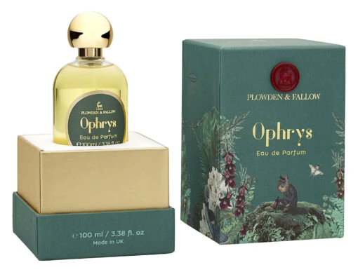 Ophrys -Alexander Shop pf 17