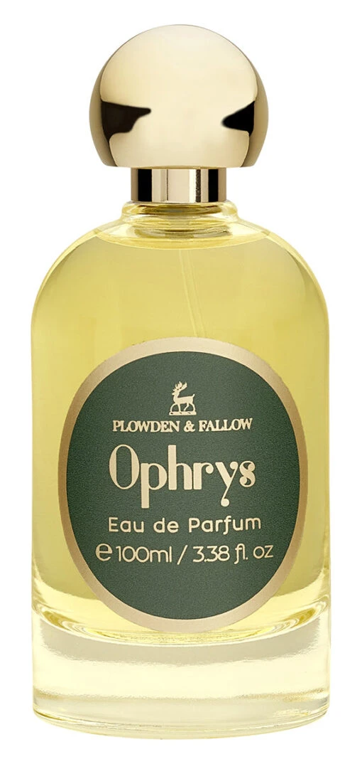 Ophrys -Alexander Shop pf 19